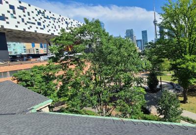 Roof, gutter, valley downspout heat trace snow melt Toronto ON_Canada